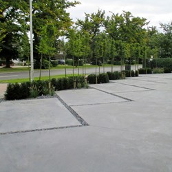 bedrijfstuin-Edegem-parking-bomen-beton